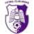 ACS Champions FC Arges