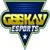 Geekay Esports