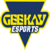 Geekay Esports