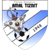Union Sportif Amal Tiznit