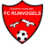 FC Rijnvogels