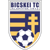Bicskei Tc