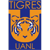 CF Tigres UANL