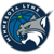 Minnesota Lynx