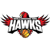 Illawarra Hawks