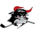 Roedovre Mighty Bulls