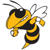 Georgia Tech Yellow Jackets