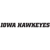 Iowa Hawkeyes