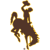 Wyoming Cowboys