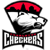 Charlotte Checkers