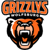 Grizzlys Wolfsburg