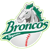Bravos de Leon